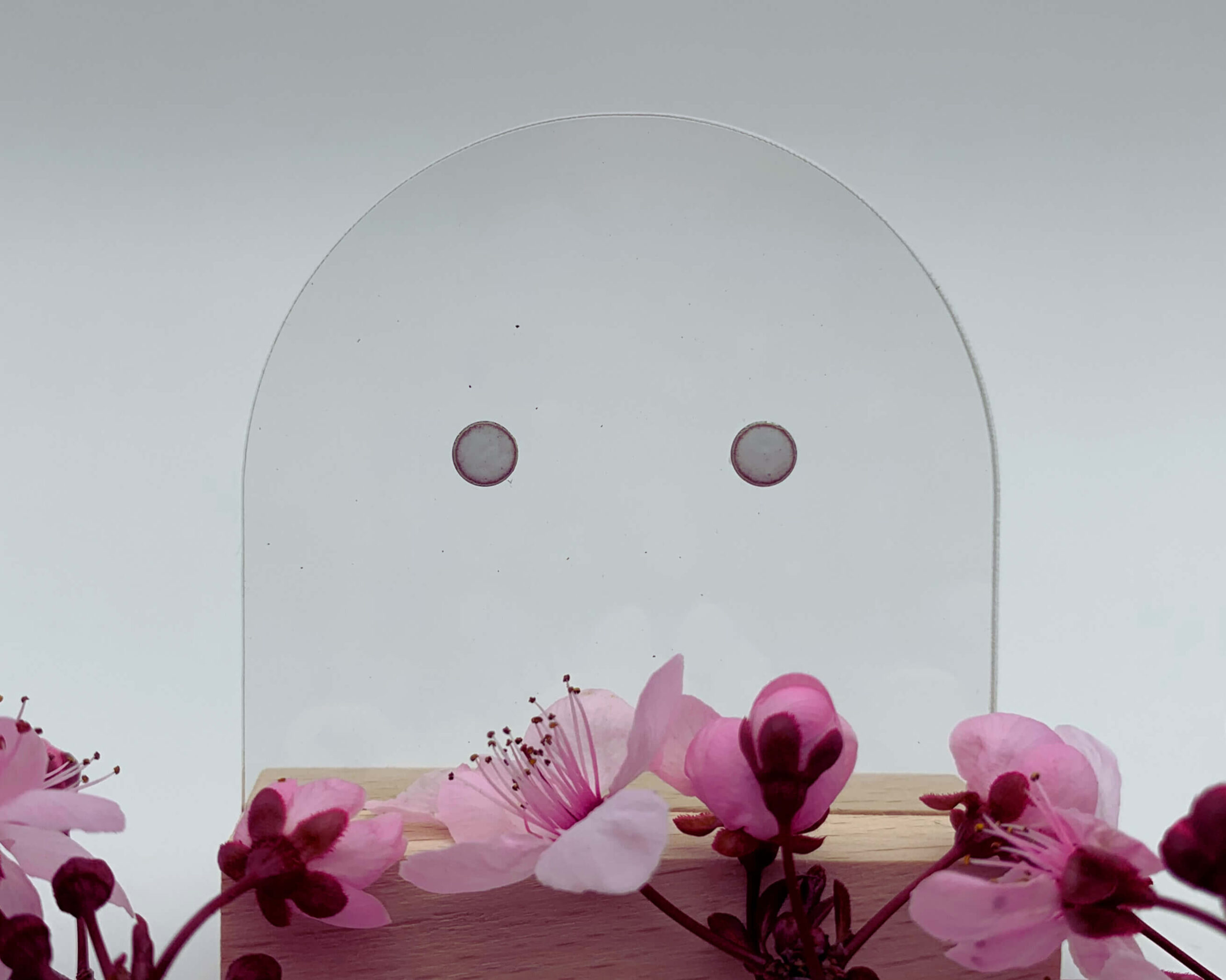 Les puces..! – Image 15