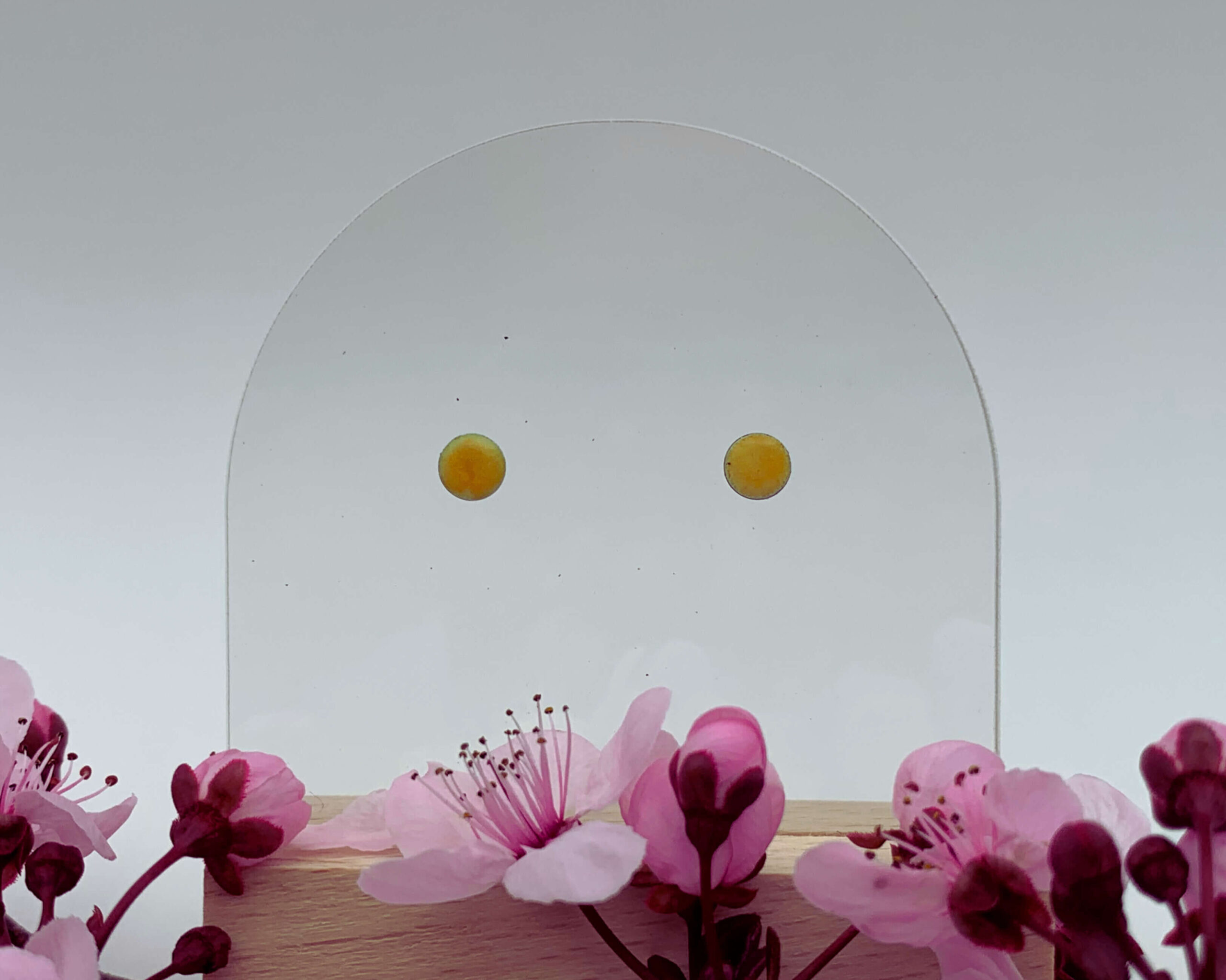 Les puces..! – Image 11