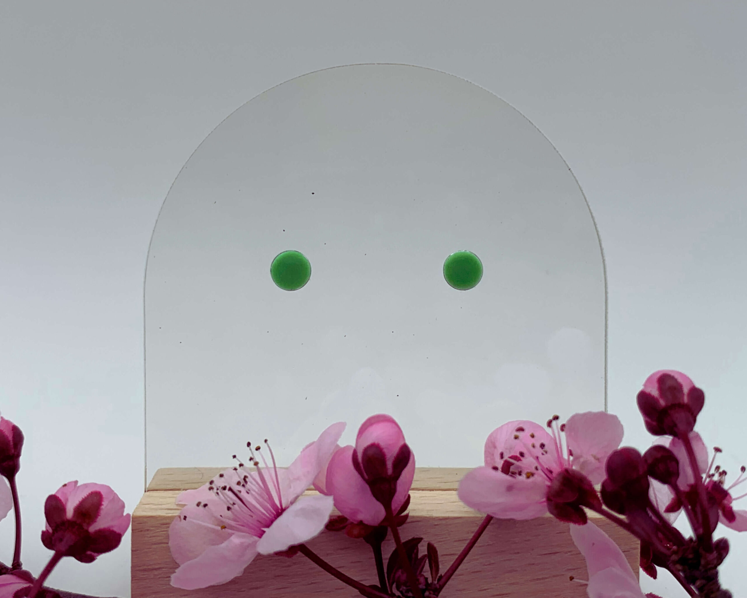 Les puces..! – Image 6