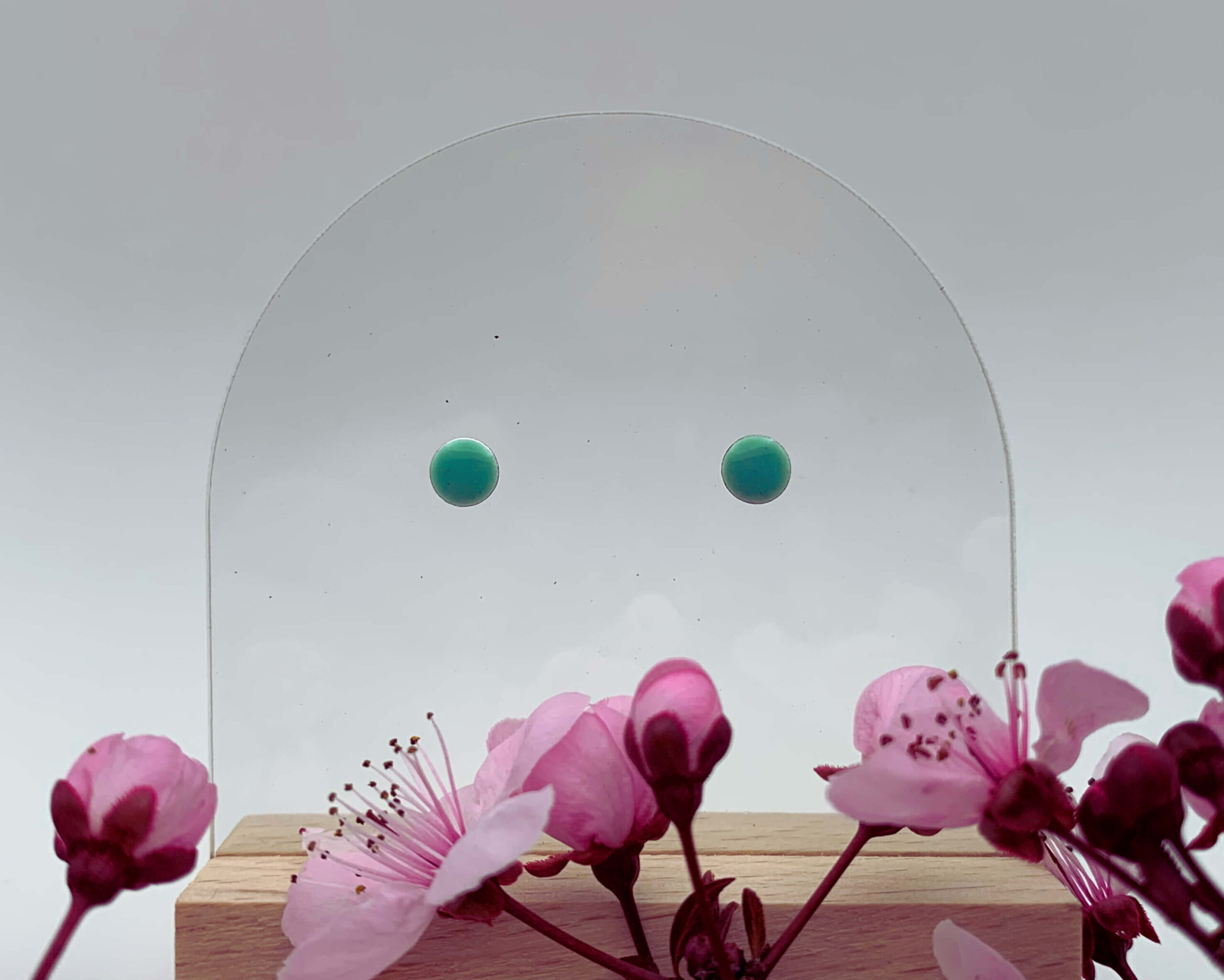 Les puces..! – Image 4