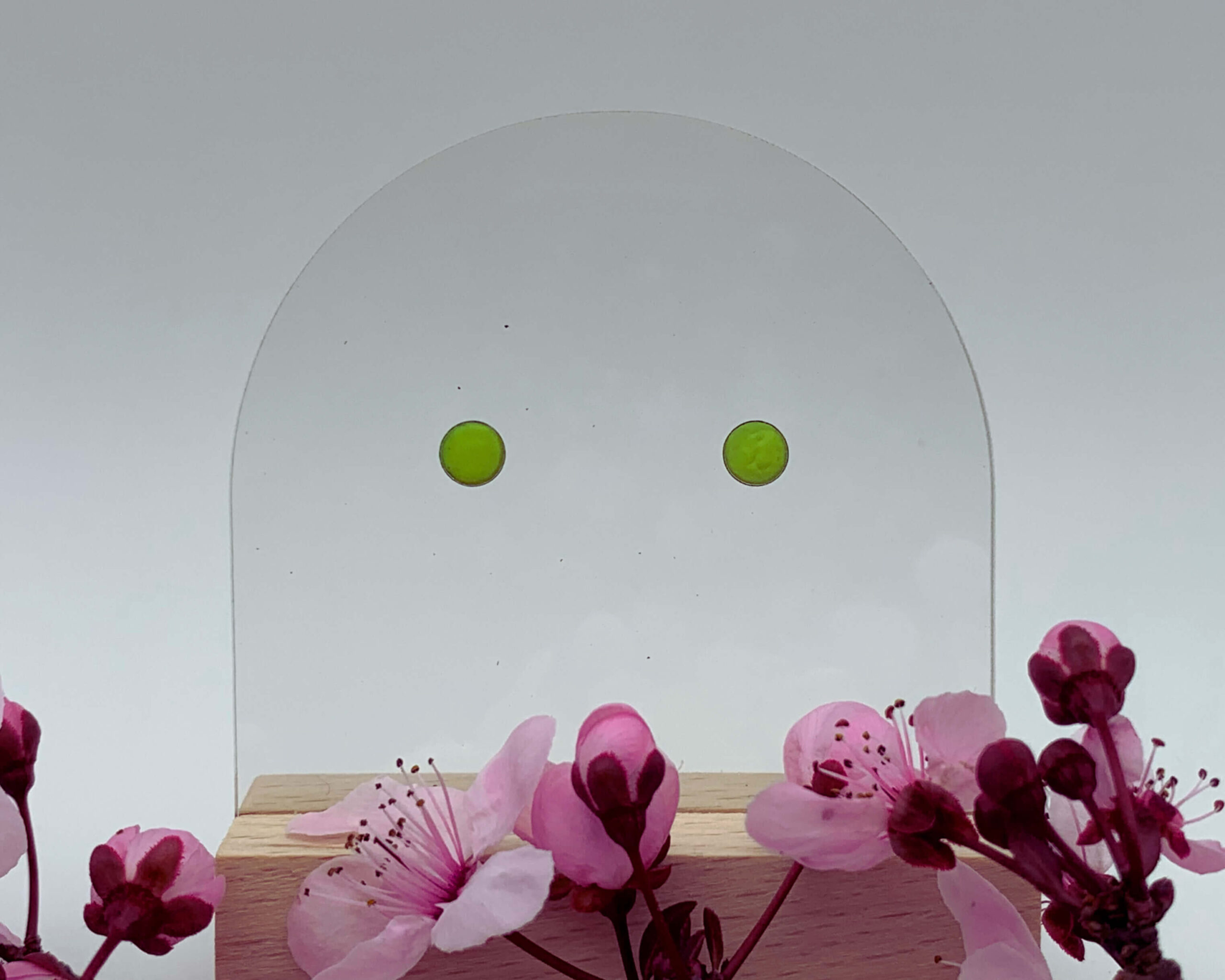 Les puces..! – Image 3