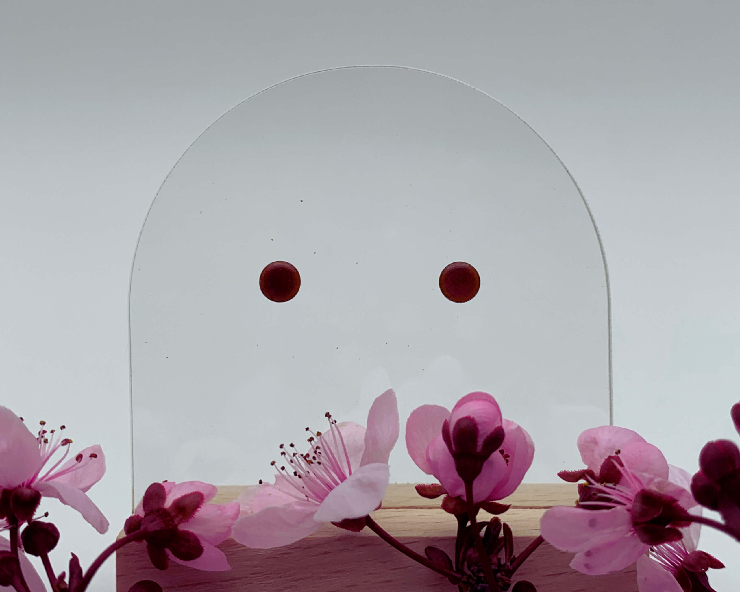 Les puces..! – Image 5